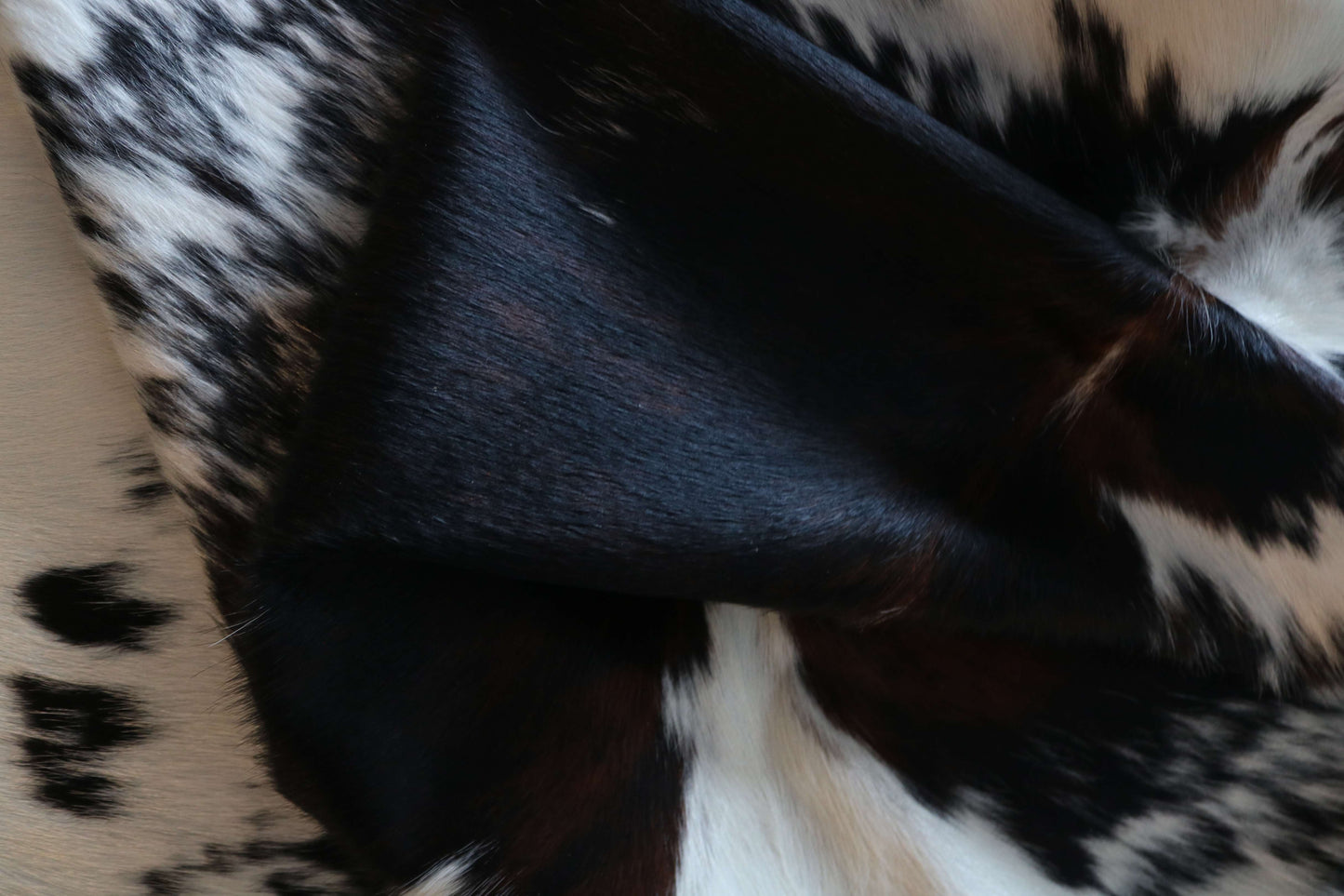 100301 - SUPER BIG SIZE XXXL TRICOLOR Cowhide Rug - Quebecuir Premium Collection