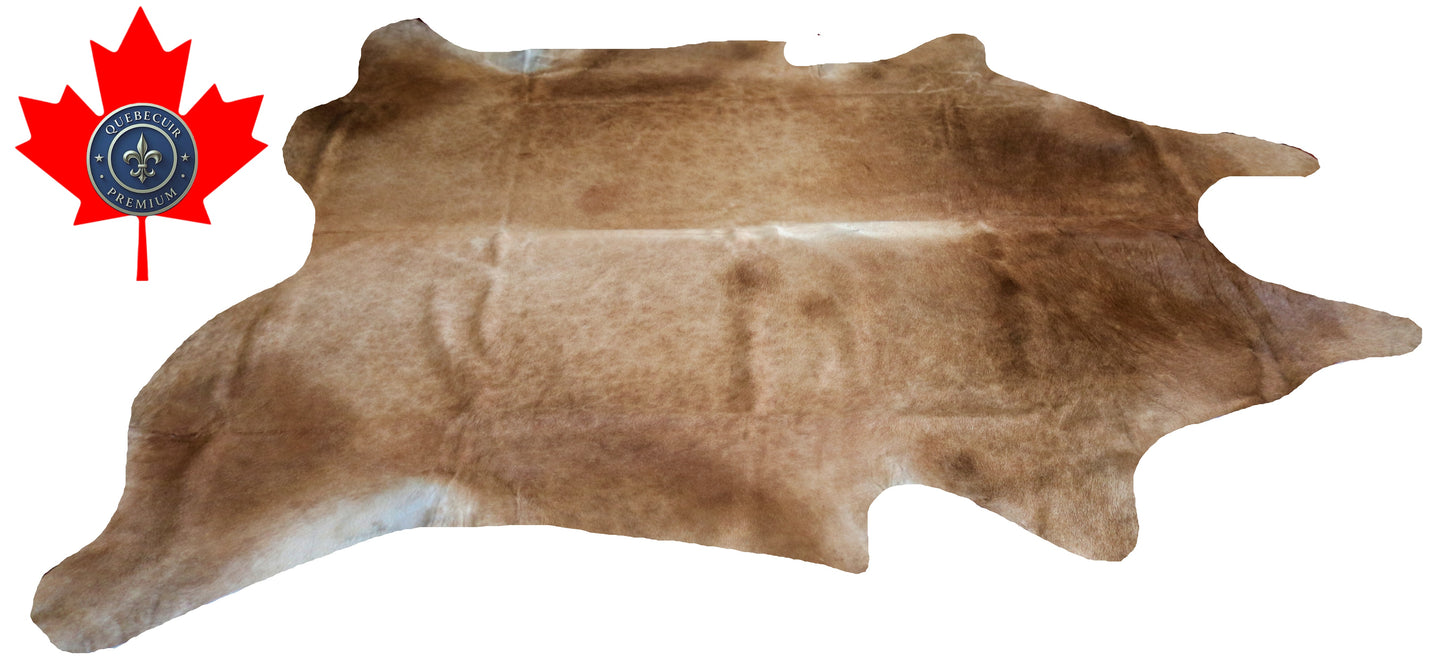 200118- Cowhide Rug Tapis Peau de Vache SUPER BIG SIZE XXXL - Collection Quebecuir Premium