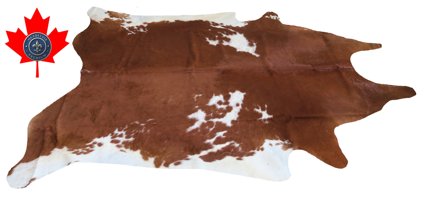 200121- Cowhide Rug Tapis Peau de Vache SUPER BIG SIZE XXXL - Collection Quebecuir Premium