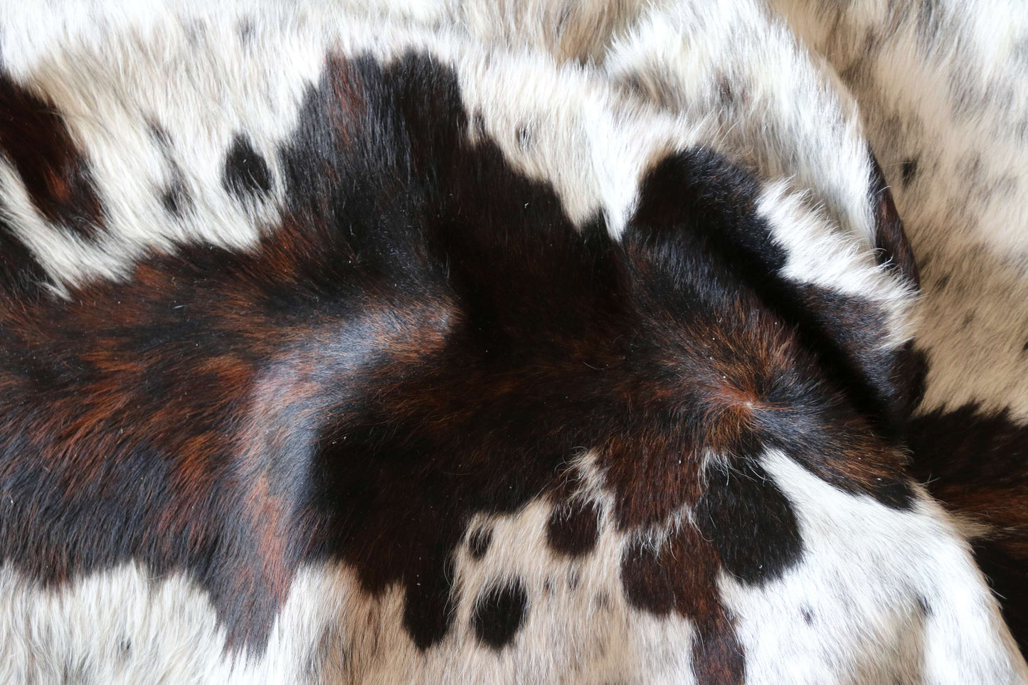 100313 - TRICOLOR Cowhide Rug XL - Quebecuir Premium Collection