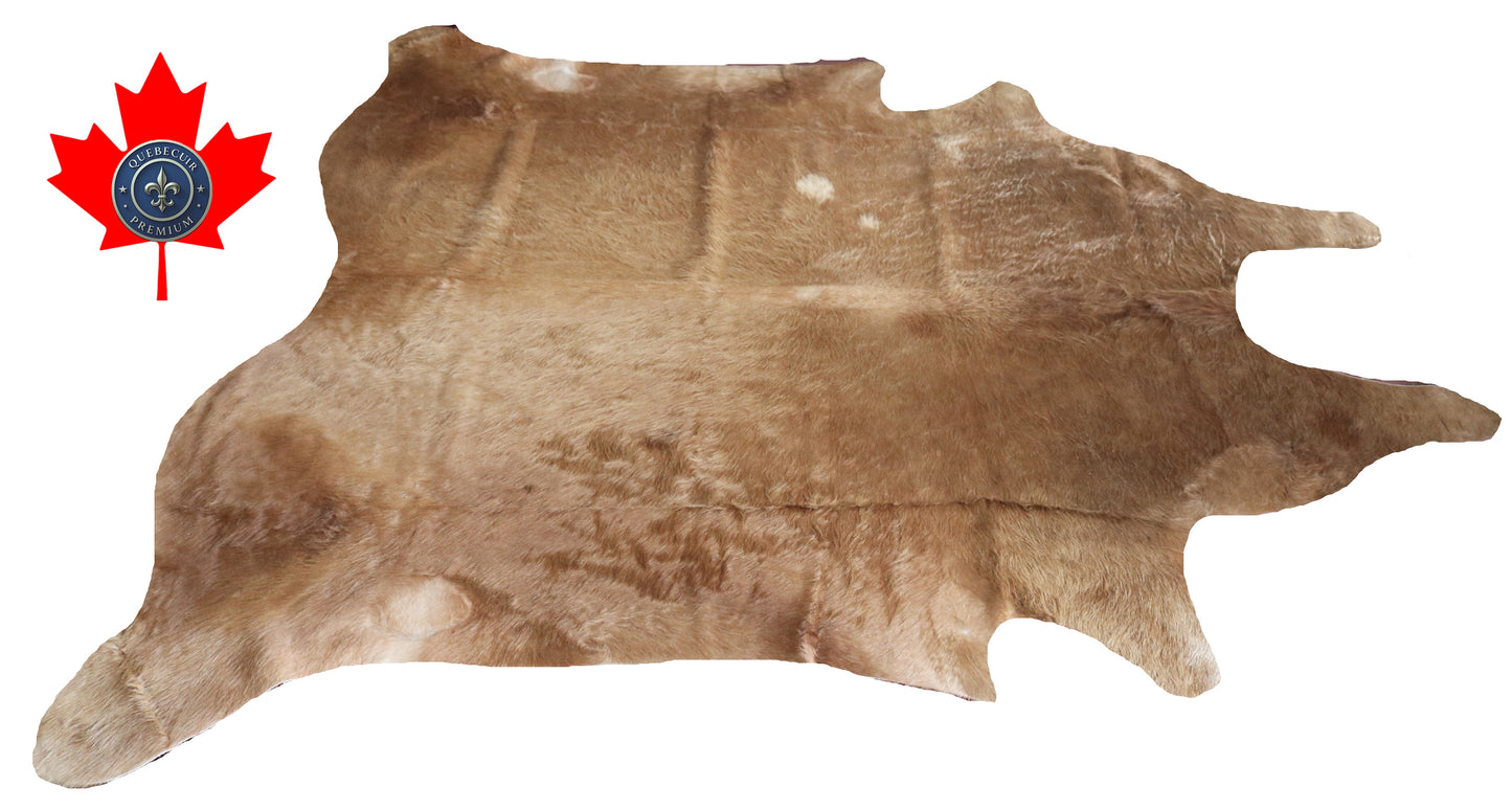 200141- Cowhide Rug Tapis Peau de Vache SUPER BIG SIZE XXXL - Collection Quebecuir Premium