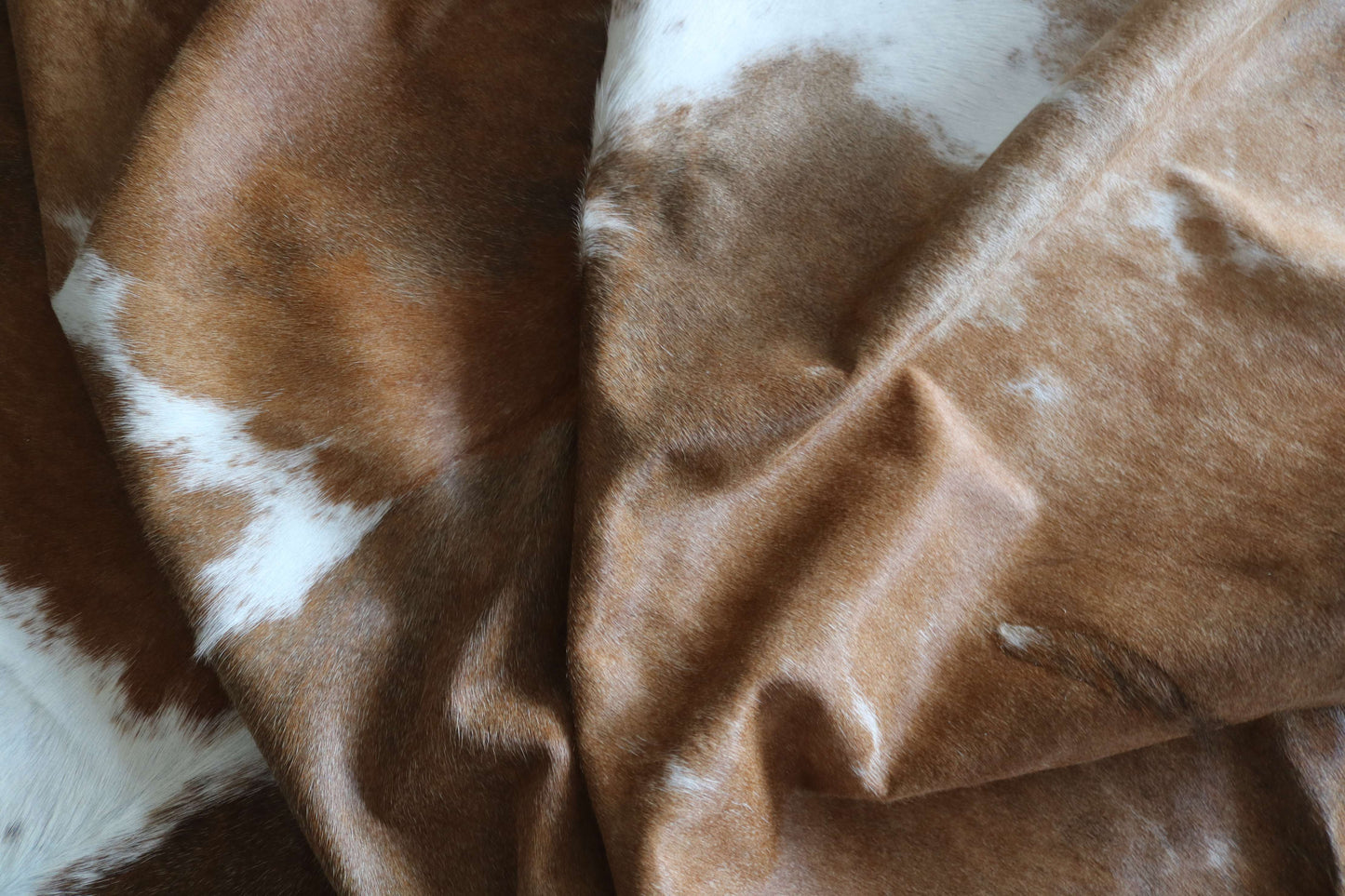 100316 - TRICOLOR Cowhide Rug XL - Quebecuir Premium Collection