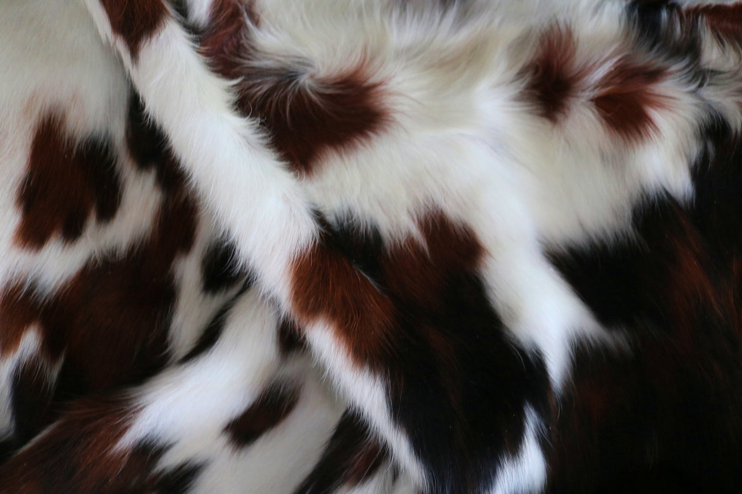 200152- Cowhide Rug Tapis Peau de Vache SUPER BIG SIZE XXXL - Collection Quebecuir Premium