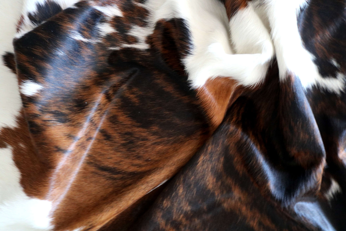 100319 - TRICOLOR Cowhide Rug XL - Quebecuir Premium Collection