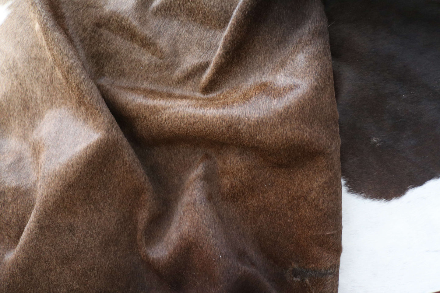 100330- TRICOLOR Cowhide Rug - Quebecuir Premium Collection