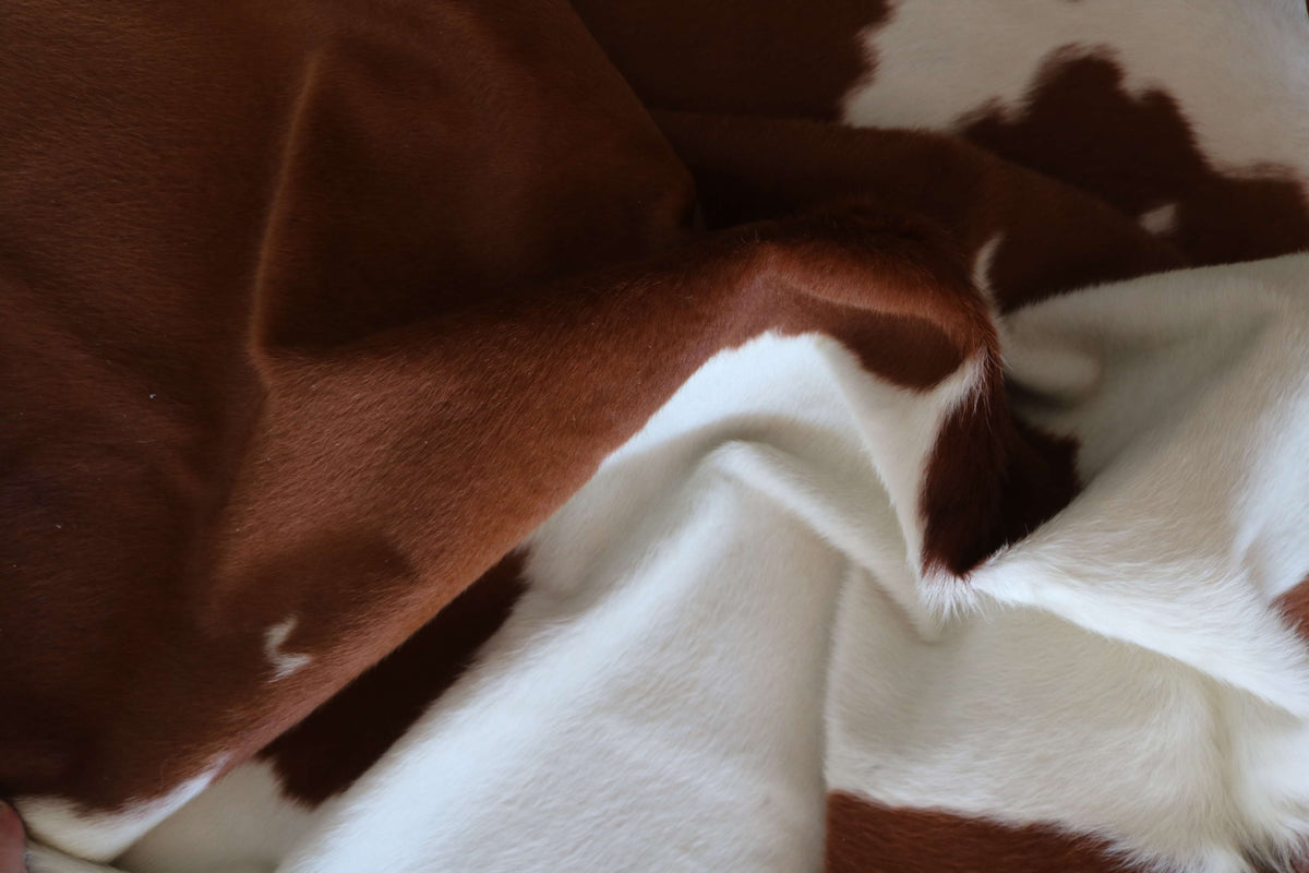 100334 -BROWN & WHITE Cowhide Rug - Quebecuir Premium Collection