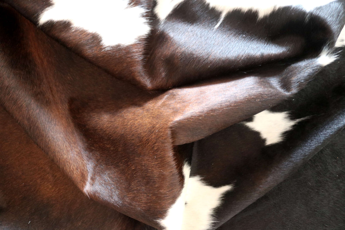 100339- SUPER BIG SIZE XXXL TRICOLOR Cowhide Rug - Quebecuir Premium Collection