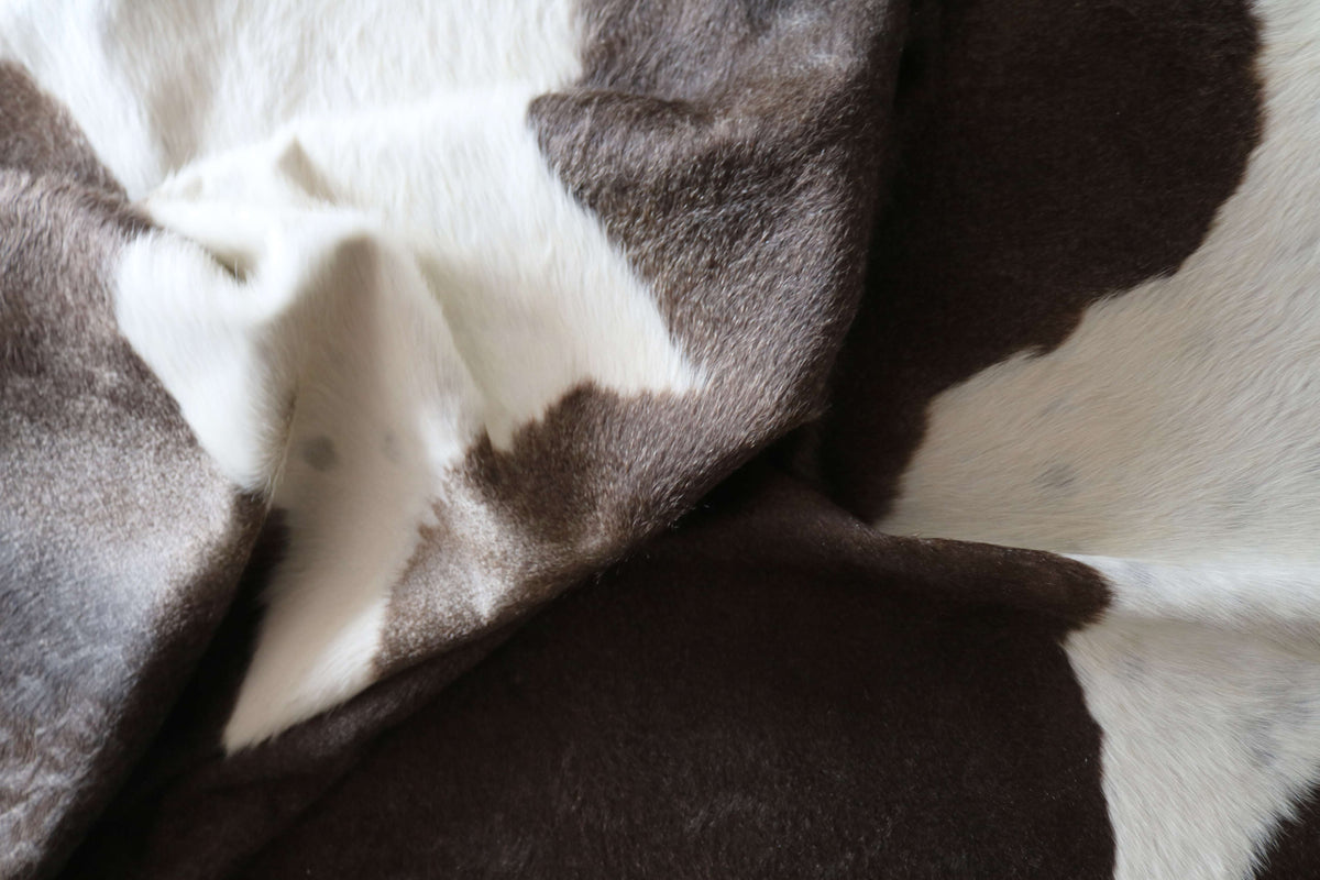 100340- SUPER BIG SIZE XXXL TRICOLOR Cowhide Rug - Quebecuir Premium Collection