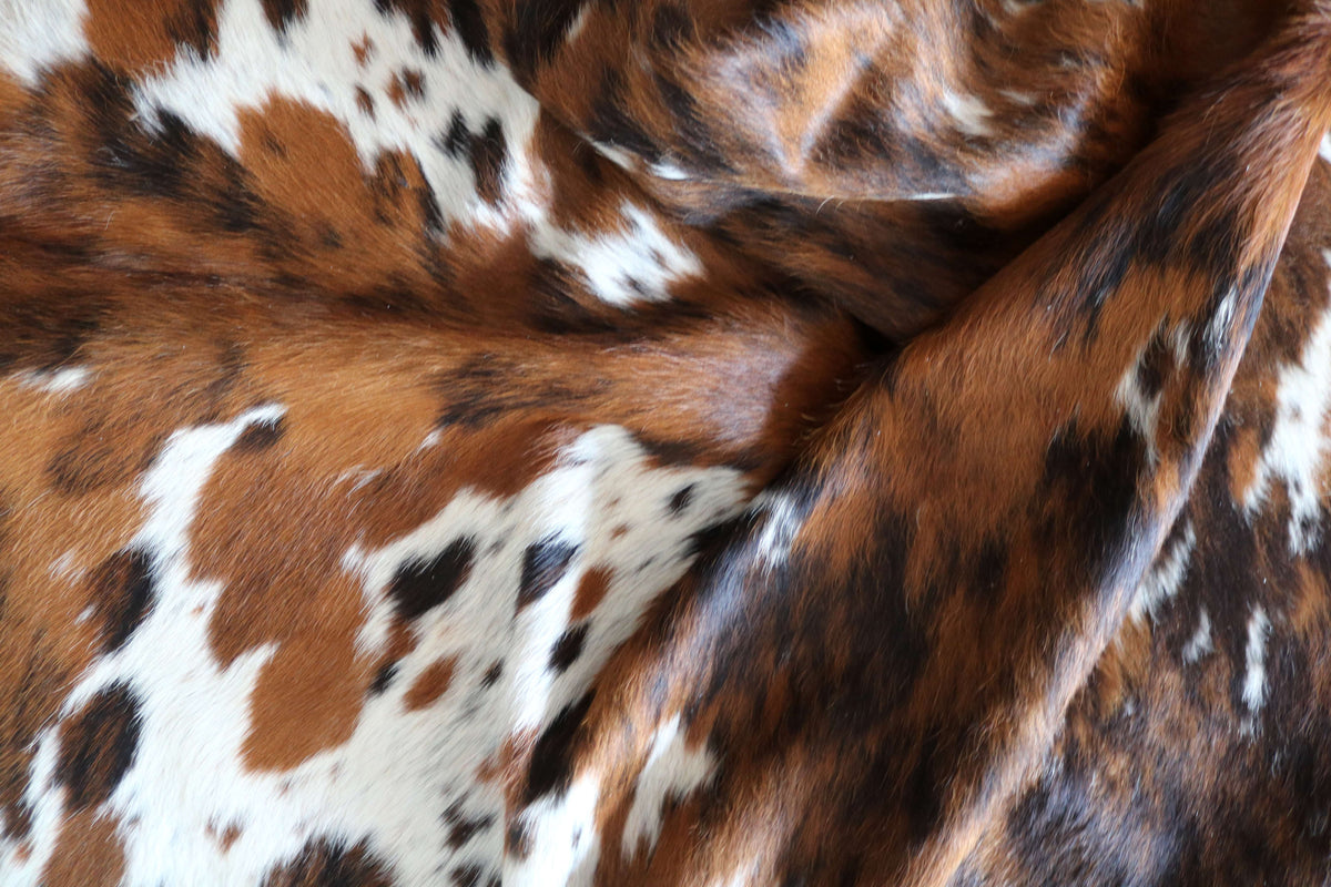 100341- TRICOLOR Cowhide Rug - Quebecuir Premium Collection