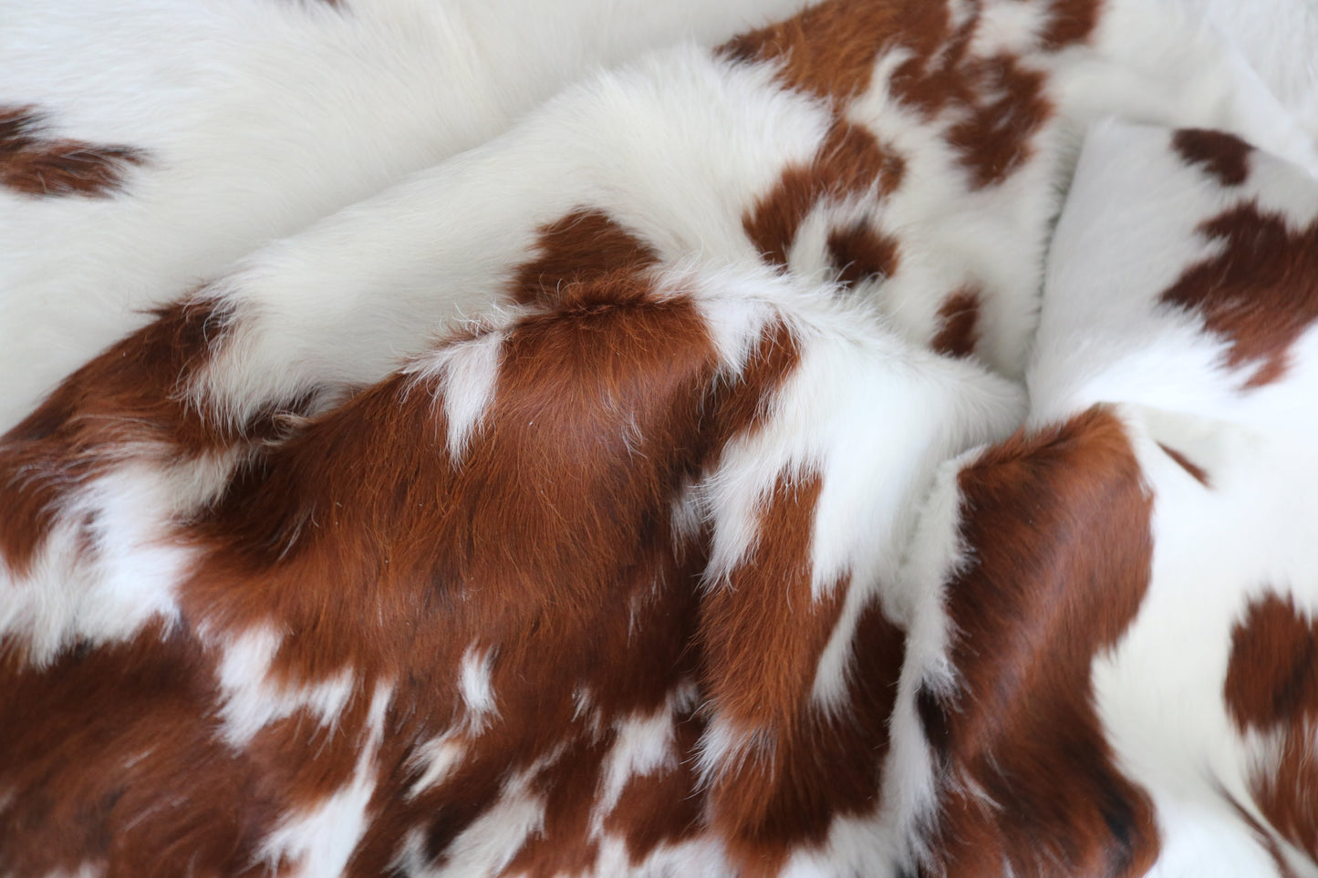 200188 - Cowhide Rug Tapis Peau de Vache -Collection Quebecuir Premium TRICOLOR