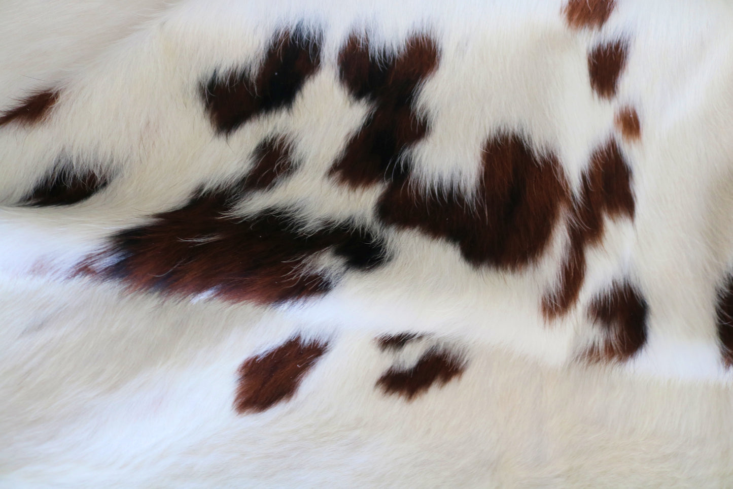 200191 - Cowhide Rug Tapis Peau de Vache -Collection Quebecuir Premium TRICOLOR