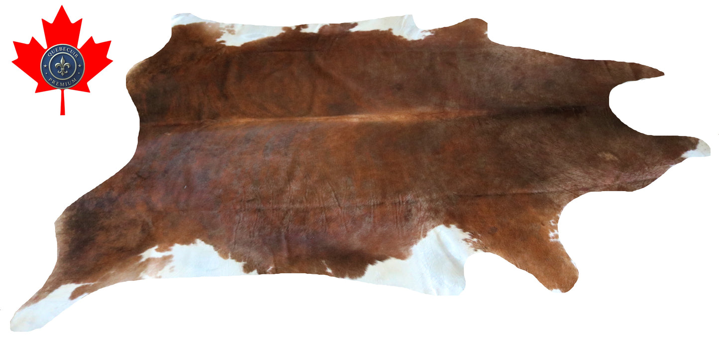 200193- Cowhide Rug Tapis Peau de Vache SUPER BIG SIZE XXXL - Collection Quebecuir Premium