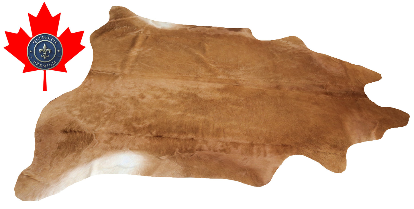 200209- Cowhide Rug Tapis Peau de Vache SUPER BIG SIZE XXXL - Collection Quebecuir Premium