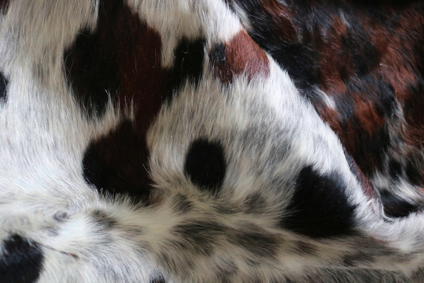 200236 - Cowhide Rug Tapis Peau de Vache -Collection Quebecuir Premium TRICOLOR