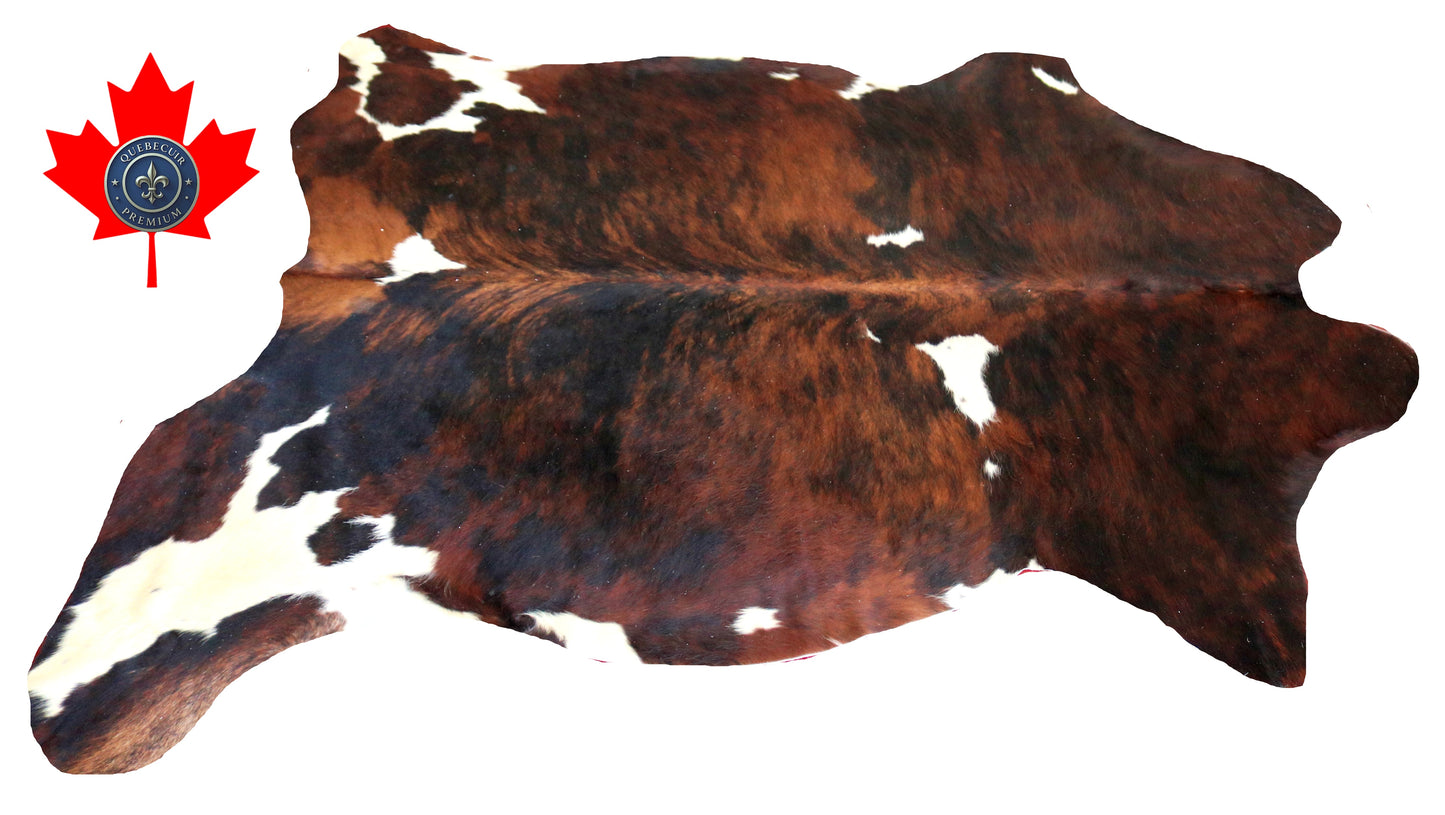 200248 - Cowhide Rug Tapis Peau de Vache -Collection Quebecuir Premium TRICOLOR