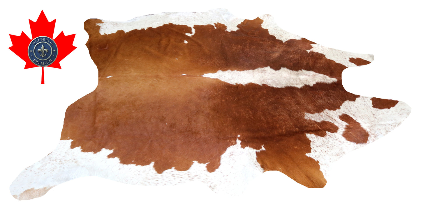 200255- Cowhide Rug Tapis Peau de Vache SUPER BIG SIZE XXXL - Collection Quebecuir Premium