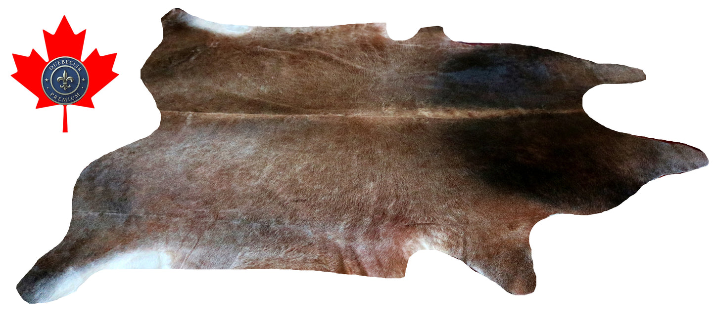 200277- Cowhide Rug Tapis Peau de Vache SUPER BIG SIZE XXXL - Collection Quebecuir Premium