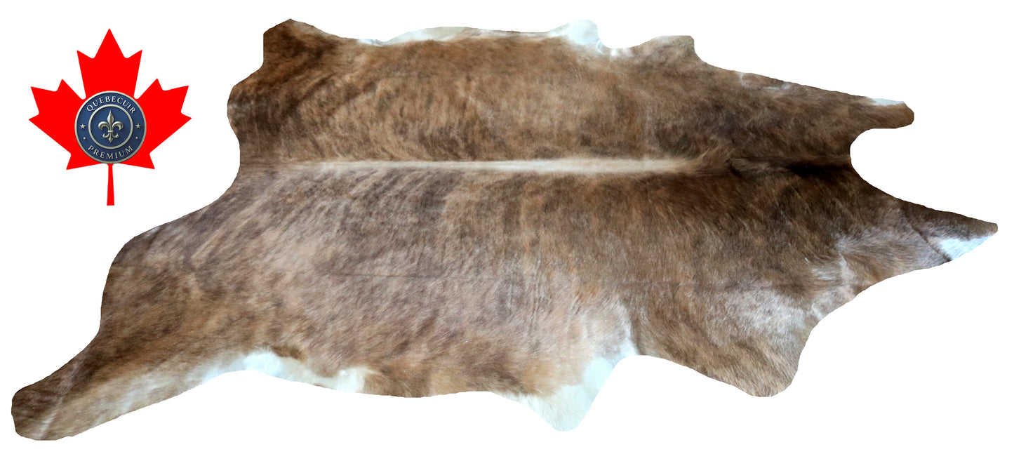 200278- Cowhide Rug Tapis Peau de Vache SUPER BIG SIZE XXXL - Collection Quebecuir Premium
