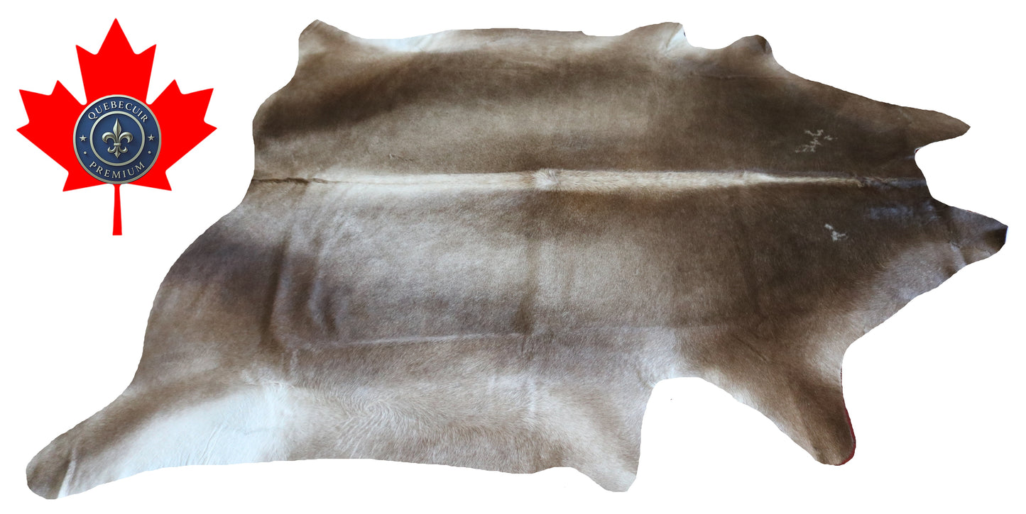 200287- Cowhide Rug Tapis Peau de Vache SUPER BIG SIZE XXXL - Collection Quebecuir Premium