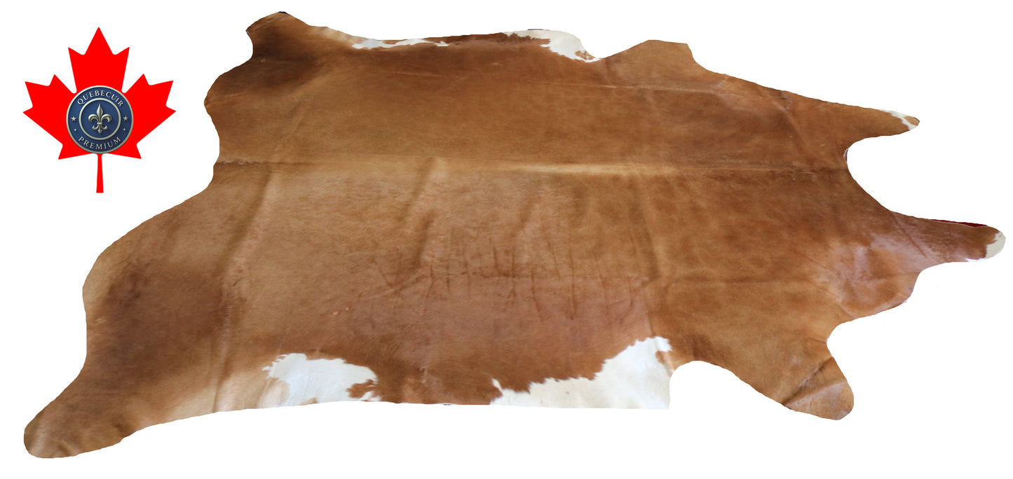 200297- Cowhide Rug Tapis Peau de Vache SUPER BIG SIZE XXXL - Collection Quebecuir Premium