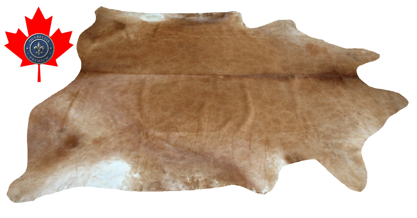 200314- Cowhide Rug Tapis Peau de Vache SUPER BIG SIZE XXXL - Collection Quebecuir Premium