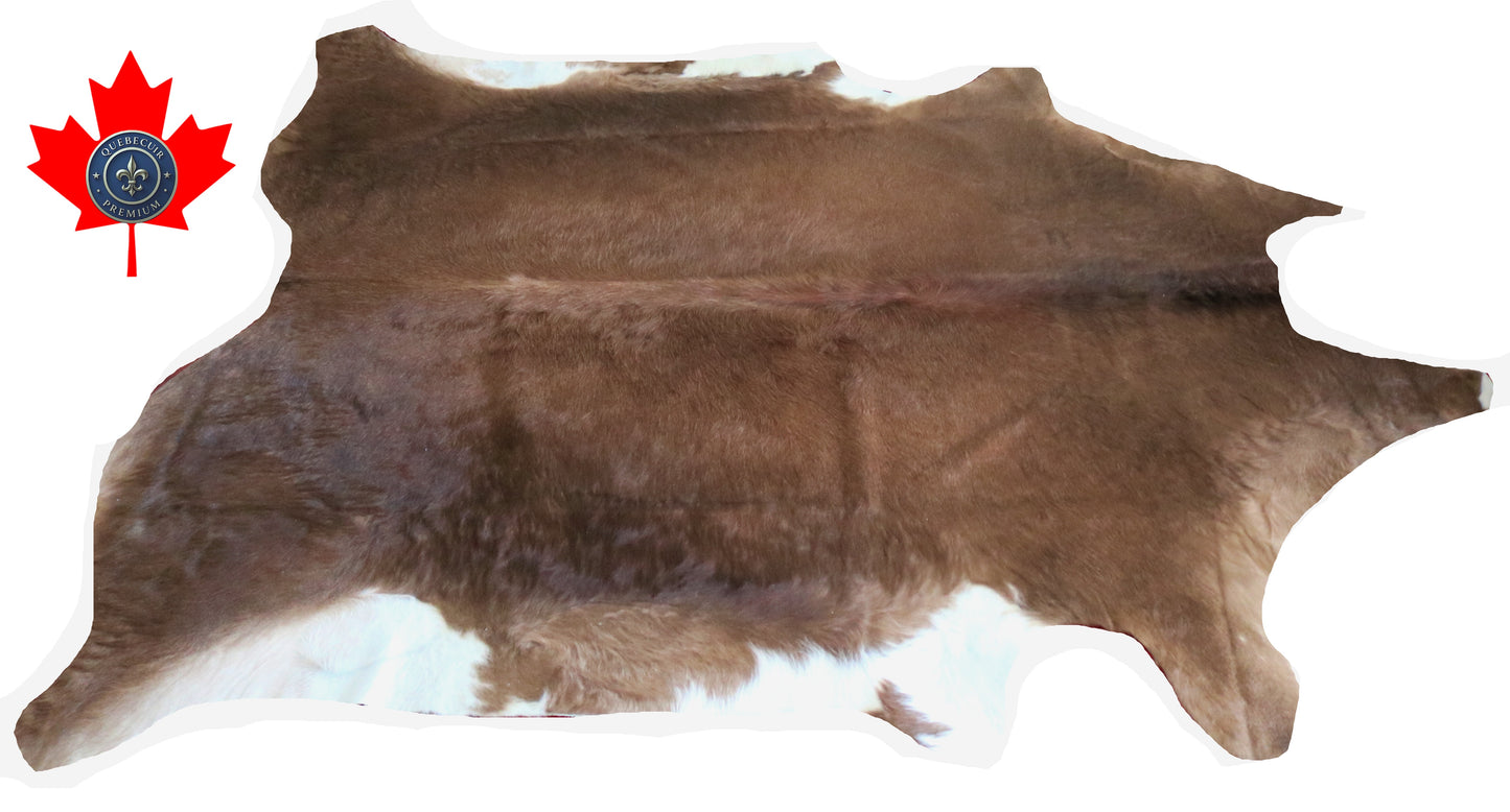 200315- Cowhide Rug Tapis Peau de Vache SUPER BIG SIZE XXXL - Collection Quebecuir Premium