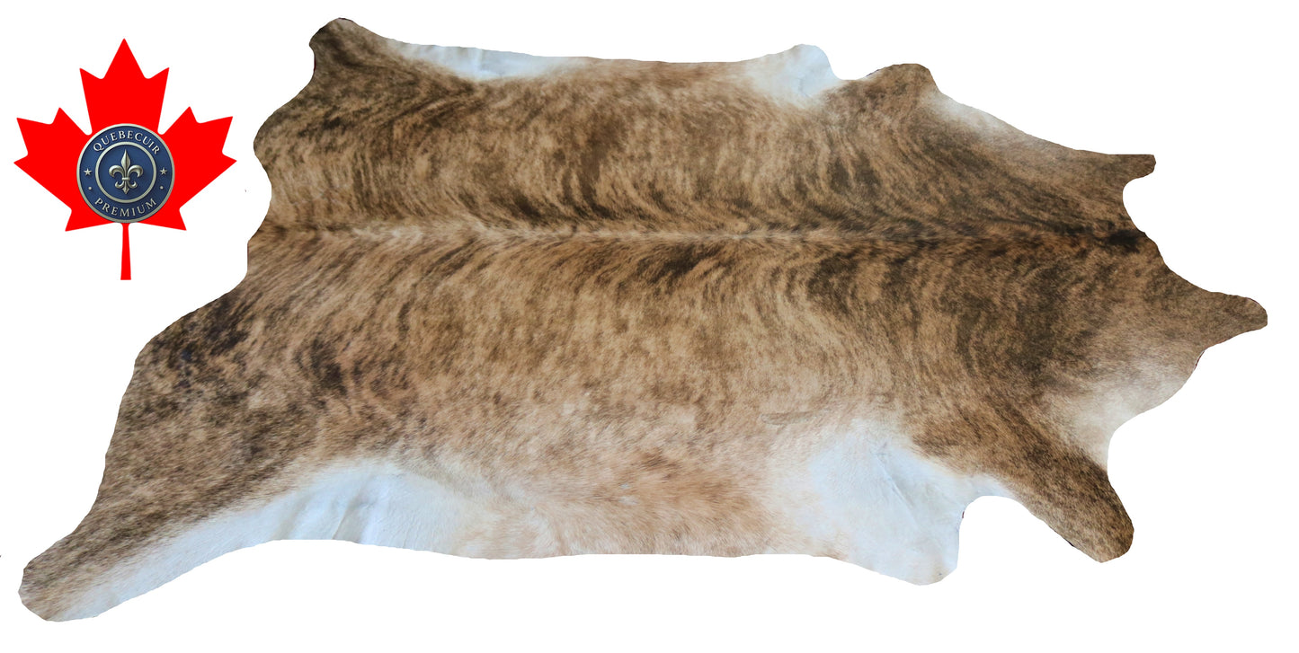 200323- Cowhide Rug Tapis Peau de Vache SUPER BIG SIZE XXXL - Collection Quebecuir Premium