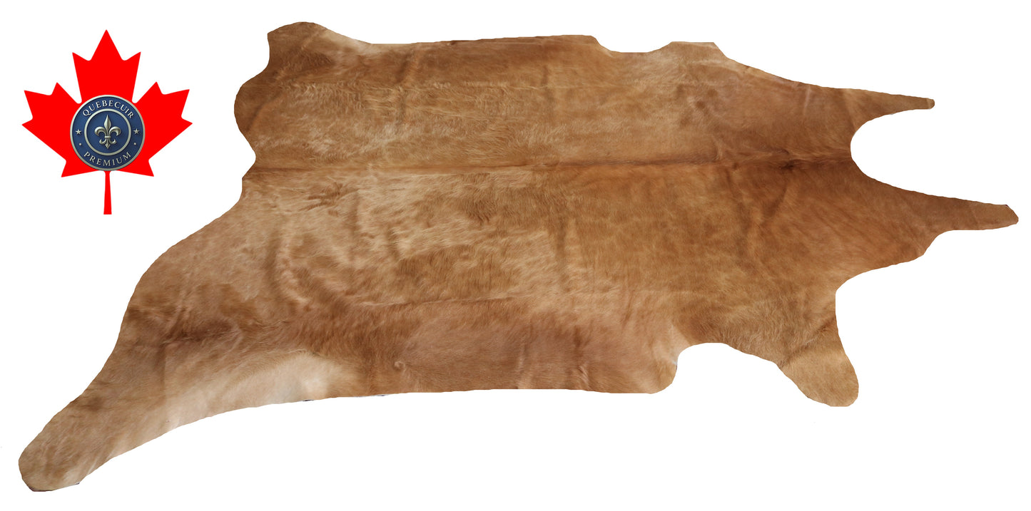 200324- Cowhide Rug Tapis Peau de Vache SUPER BIG SIZE XXXL - Collection Quebecuir Premium