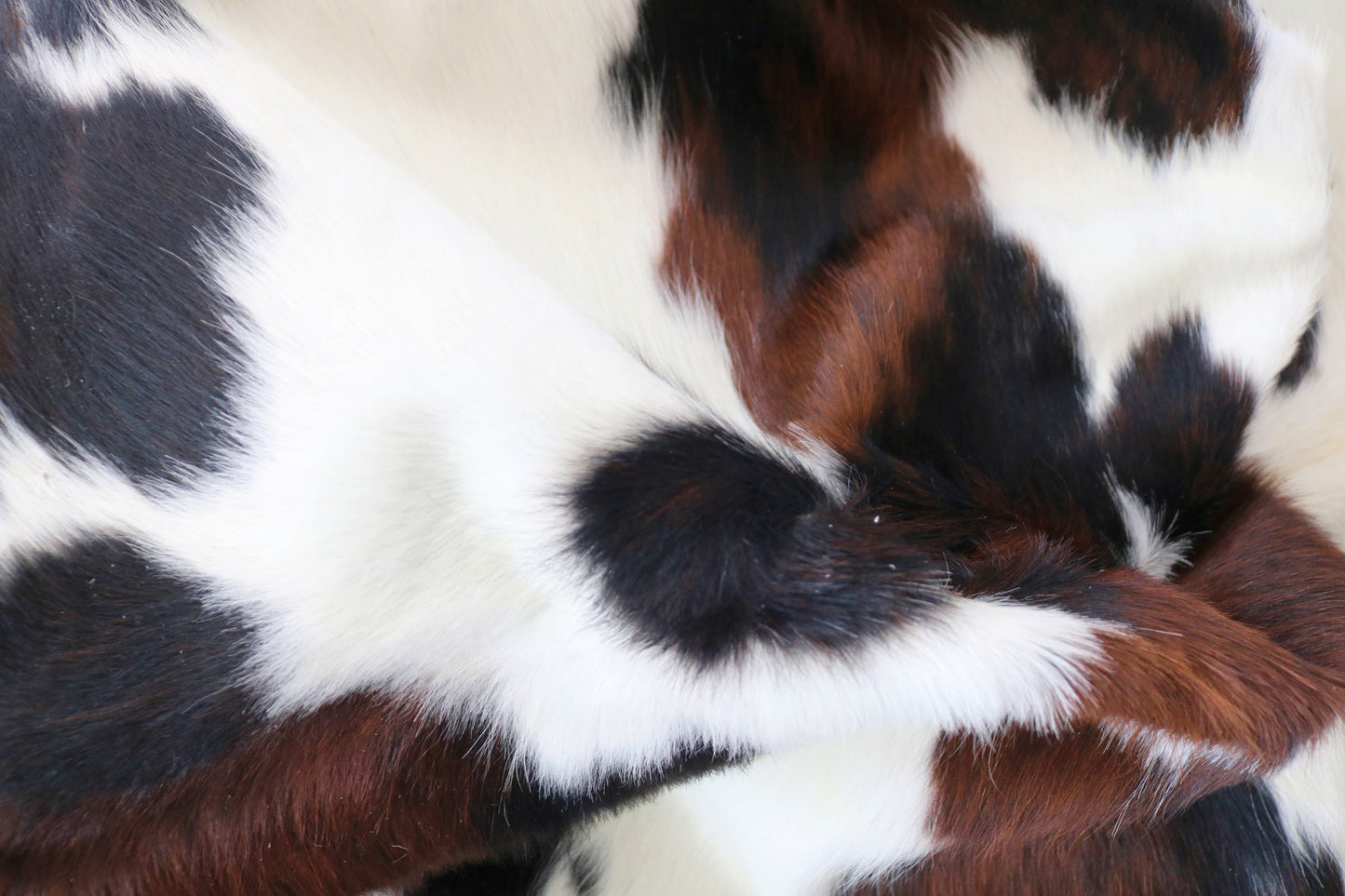 200340- Cowhide Rug Tapis Peau de Vache -Collection Quebecuir Premium TRICOLOR