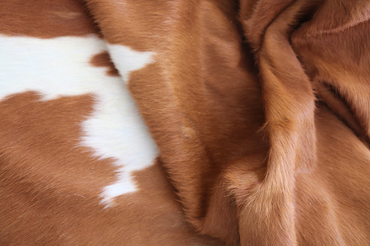 200341- Cowhide Rug Tapis Peau de Vache -Collection Quebecuir Premium