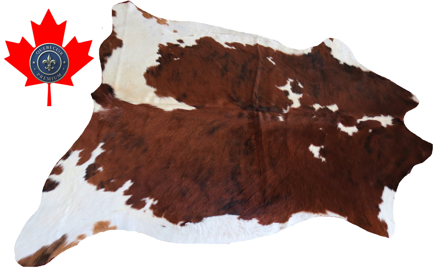 200342- Cowhide Rug Tapis Peau de Vache -Collection Quebecuir Premium TRICOLOR