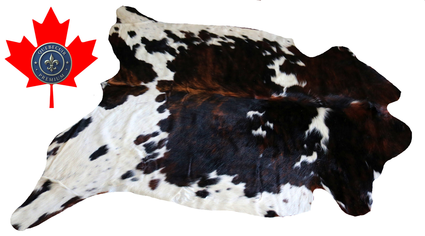 200345- Cowhide Rug Tapis Peau de Vache -Collection Quebecuir Premium TRICOLOR