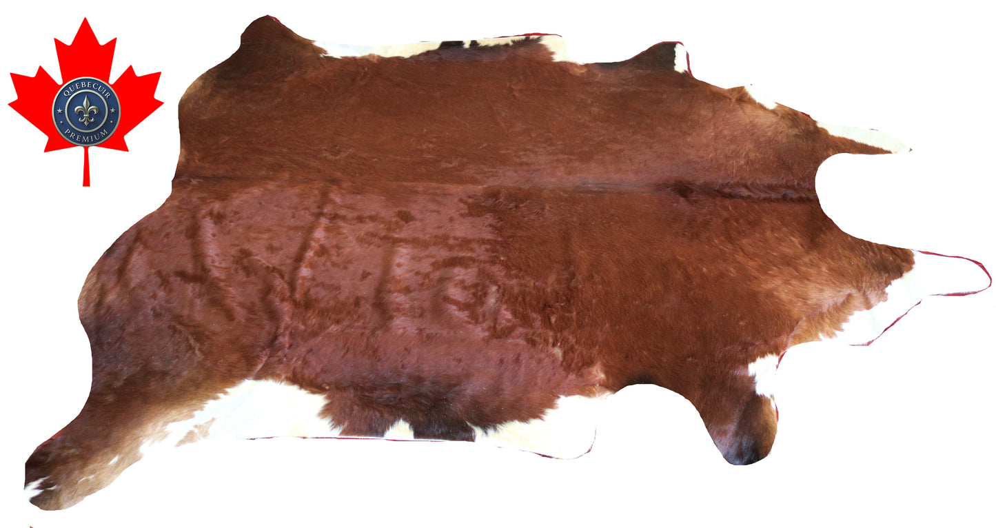 200365 - Cowhide Rug Tapis Peau de Vache -BIG SIZE XL Collection Quebecuir Premium
