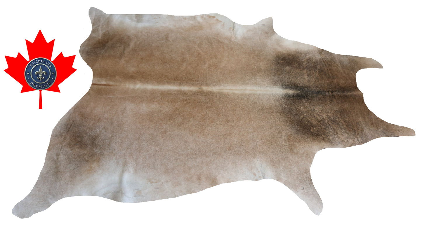 200396- Cowhide Rug Tapis Peau de Vache Collection Quebecuir Premium