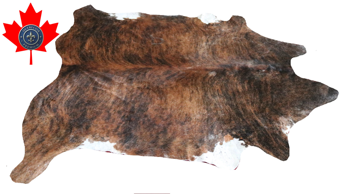 200410 - Cowhide Rug Tapis Peau de Vache -BIG SIZE XL Collection Quebecuir Premium