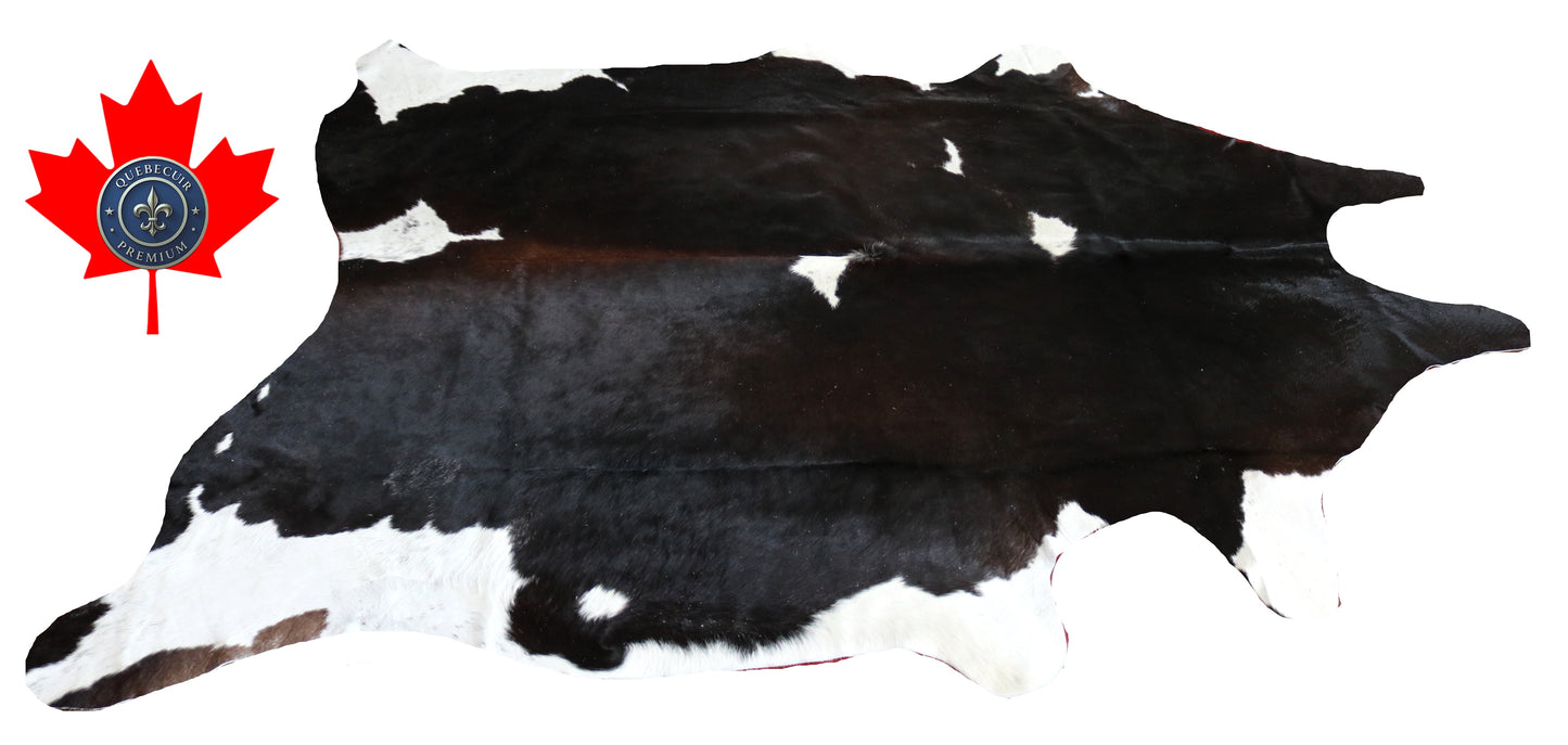 200421- Cowhide Rug Tapis Peau de Vache -BIG SIZE XL Collection Quebecuir Premium