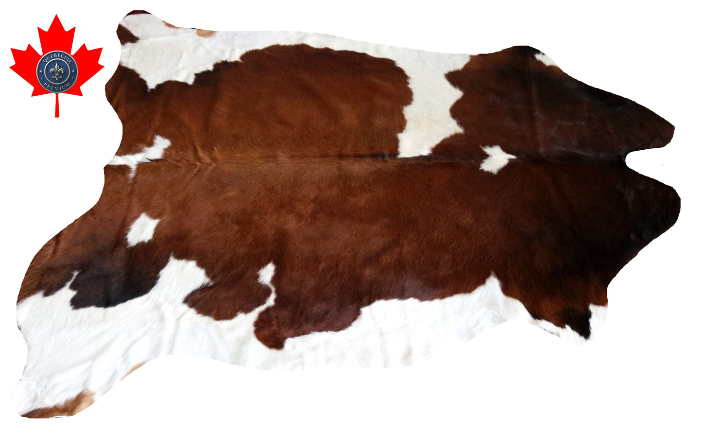200429 - Cowhide Rug Tapis Peau de Vache Collection Quebecuir Premium