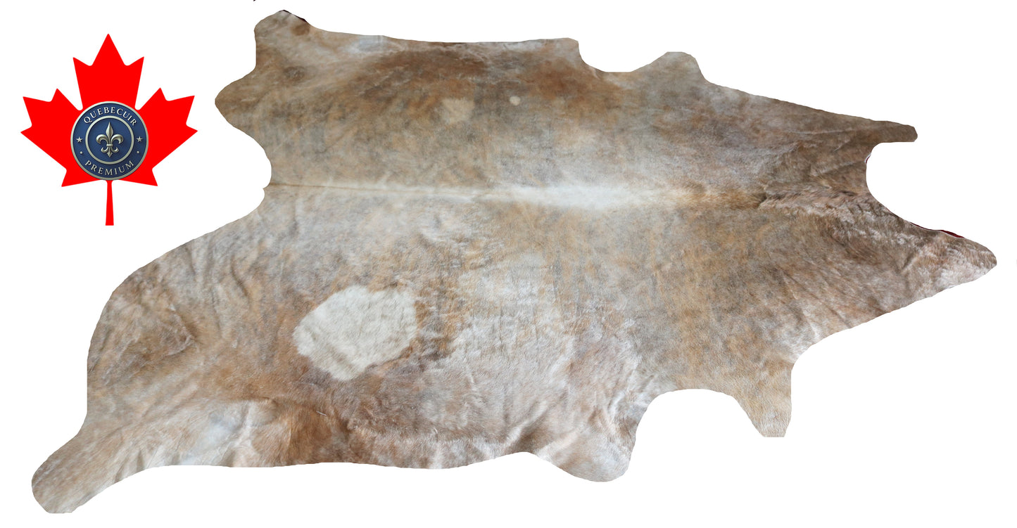 300021- Cowhide Rug Tapis Peau de Vache -BIG SIZE XL Collection Quebecuir Premium