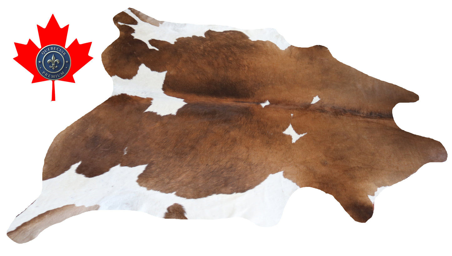 200442 - Cowhide Rug Tapis Peau de Vache Collection Quebecuir Premium