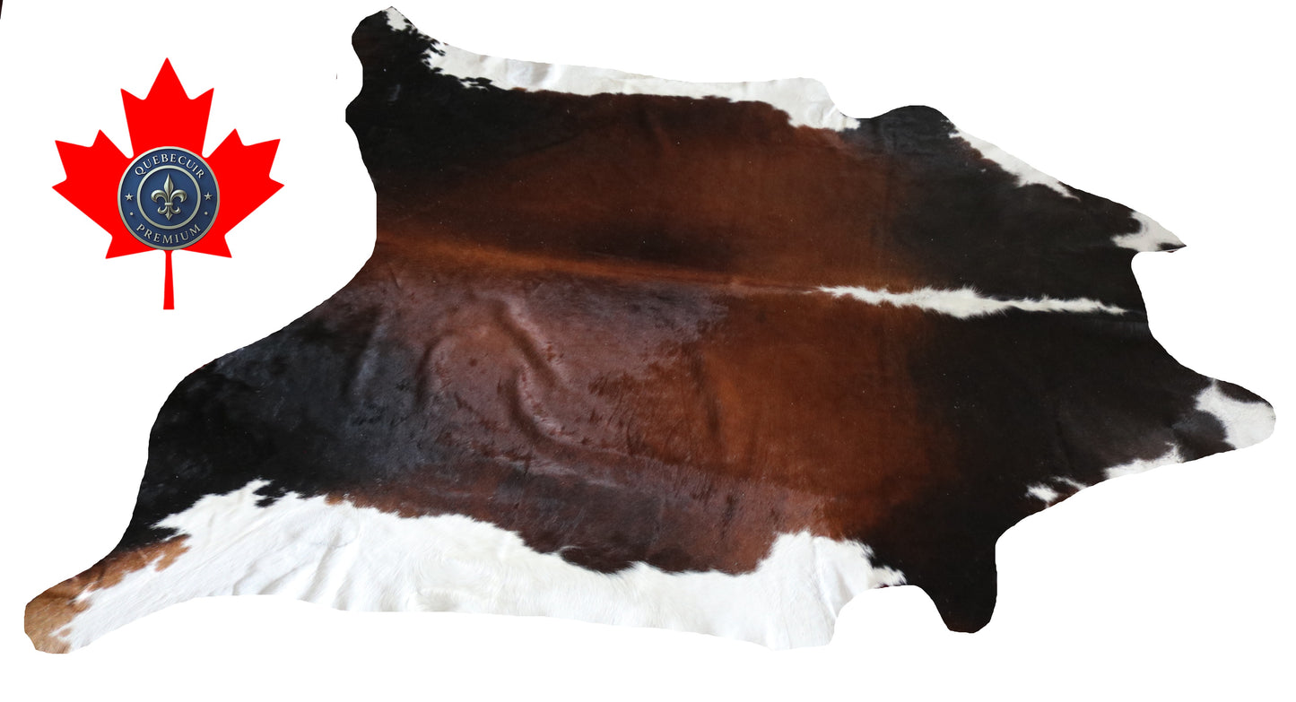 300031 - Cowhide Rug Tapis Peau de Vache -BIG SIZE XL Collection Quebecuir Premium