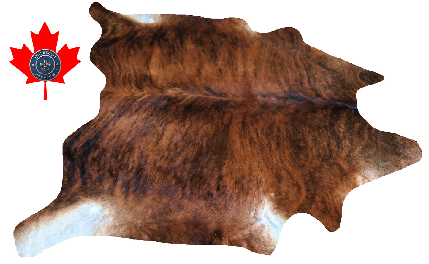 300042 - Cowhide Rug Tapis Peau de Vache Collection Quebecuir Premium