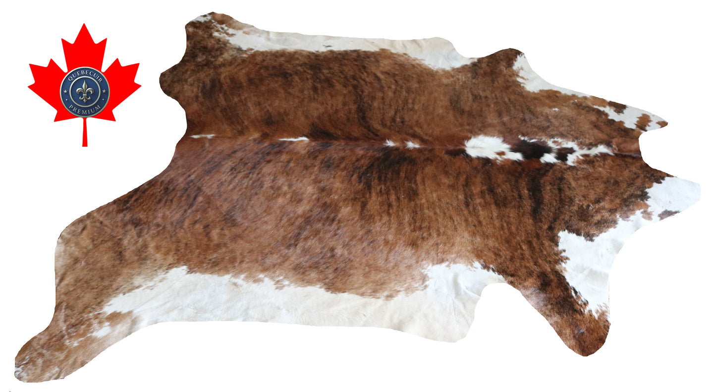 300051 - Cowhide Rug Tapis Peau de Vache -BIG SIZE XL Collection Quebecuir Premium