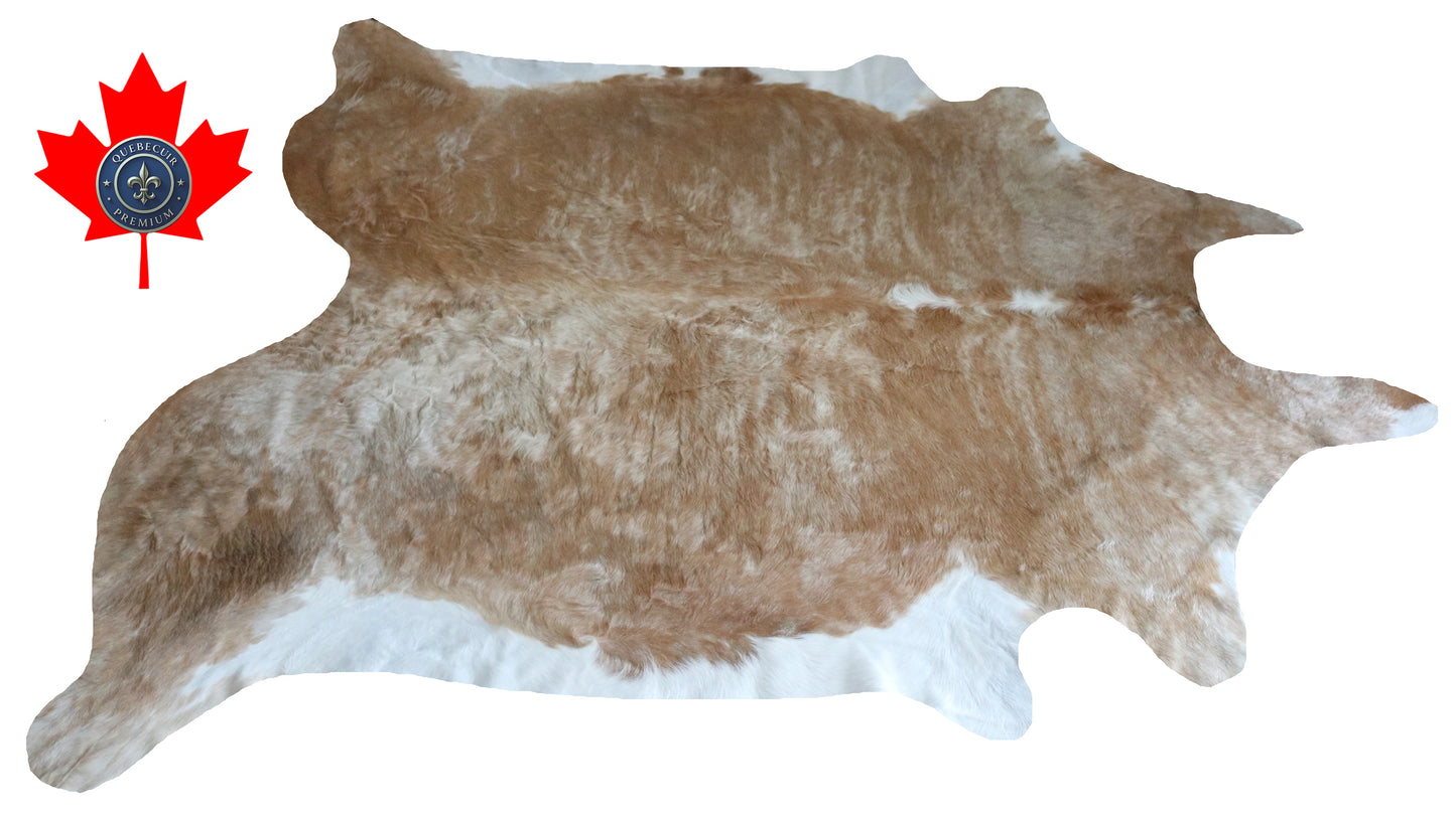 300071 - Cowhide Rug Tapis Peau de Vache -BIG SIZE XL Collection Quebecuir Premium