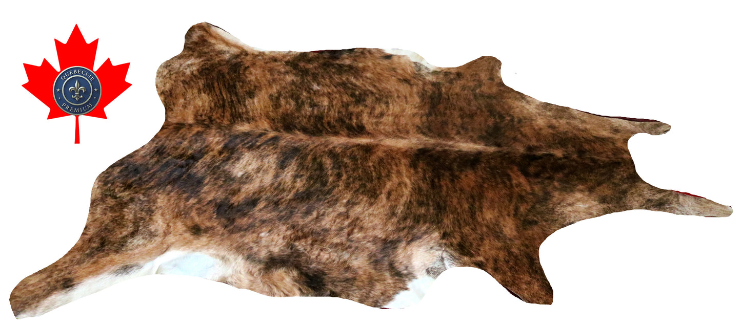300075 - Cowhide Rug Tapis Peau de Vache -BIG SIZE XL Collection Quebecuir Premium