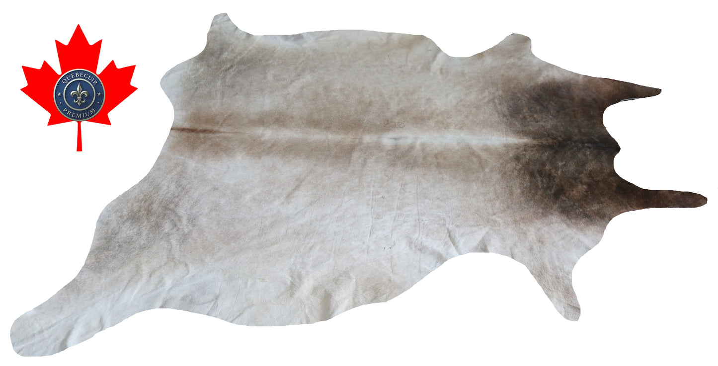 300087- Cowhide Rug Tapis Peau de Vache -BIG SIZE XL Collection Quebecuir Premium