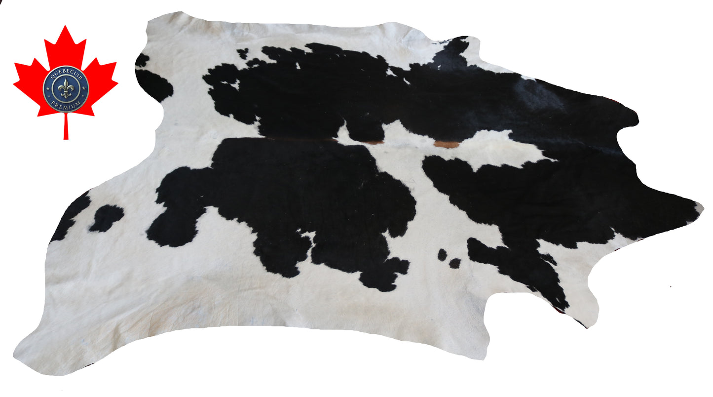 300100- Cowhide Rug Tapis Peau de Vache -BIG SIZE XL Collection Quebecuir Premium
