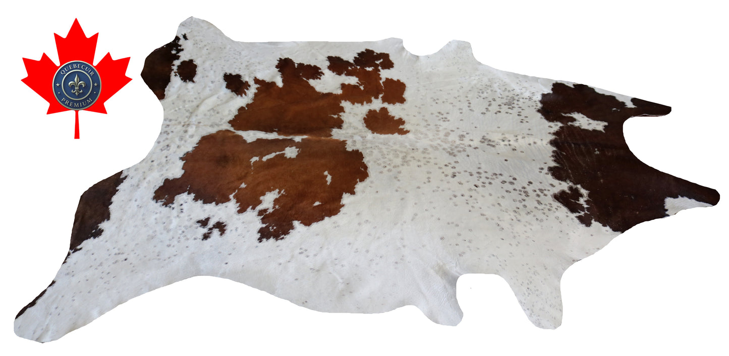 300107- Cowhide Rug Tapis Peau de Vache -BIG SIZE XL Collection Quebecuir Premium