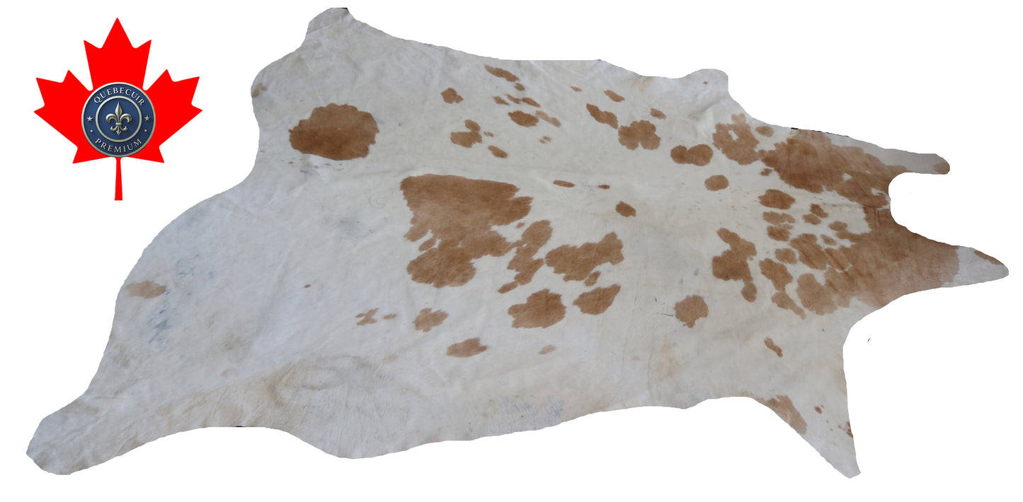 300108- Cowhide Rug Tapis Peau de Vache -BIG SIZE XL Collection Quebecuir Premium