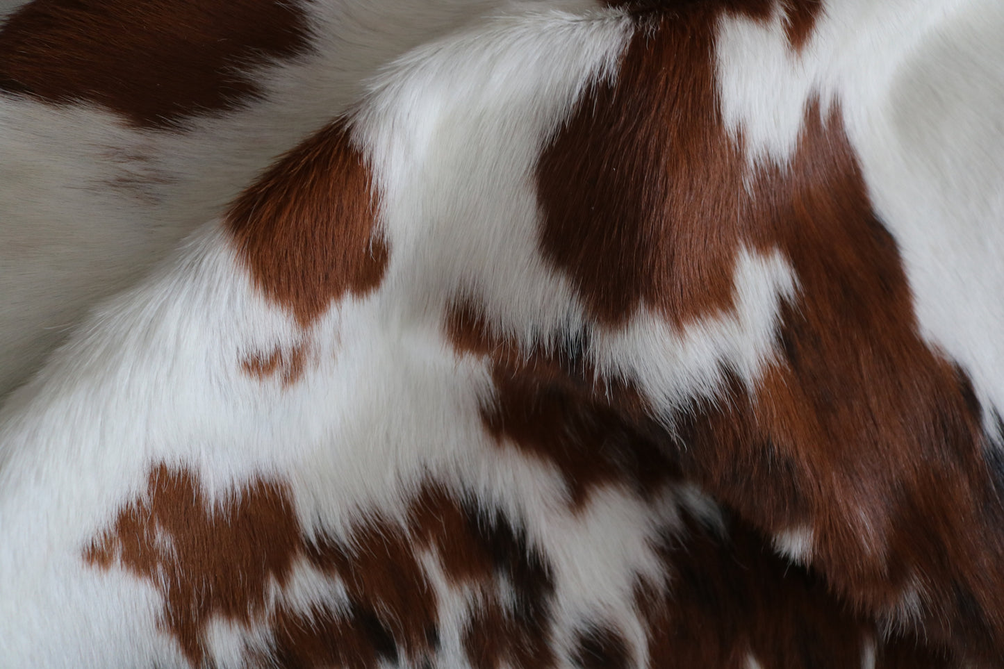 99063 - Cowhide Rug Tapis Peau de Vache Collection Quebecuir Premium