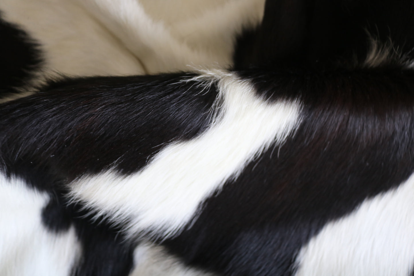 AI 99157- Cowhide Rug Tapis Peau de Vache Collection Quebecuir Premium